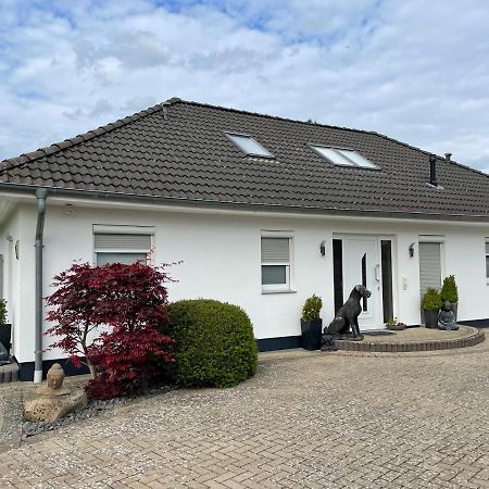 Apartmán Waldblick Walsrode / Bomlitz Exteriér fotografie